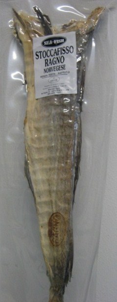 IMG 3645